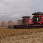 Mato Grosso dispara nas exportações e vende 27% mais soja que em 2024