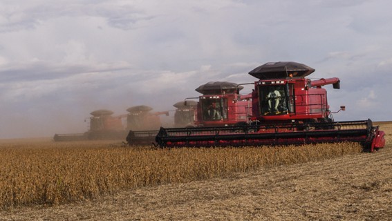 Mato Grosso dispara nas exportações e vende 27% mais soja que em 2024