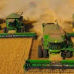 Economia brasileira tem melhor desempenho em cinco anos graças ao agronegócio