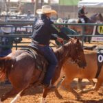 Semana do Cavalo aquece economia, cria 2 mil empregos e atrai negócios em Cuiabá
