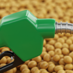 Mato Grosso aumenta produção de biodiesel em 15% e pode liderar ranking nacional