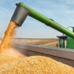 Economia do agro faz MT criar mais de 18 mil empregos e superar quase todos os estados brasileiros