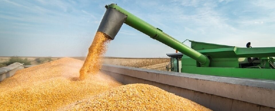 Economia do agro faz MT criar mais de 18 mil empregos e superar quase todos os estados brasileiros