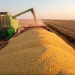 Agro brasileiro bate recorde e exporta US$ 38,1 bilhões no 1º trimestre de 2026