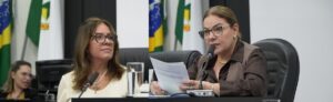 Paula Calil cobra relatório da comissão do assédio e rebate vereadora durante sessão na Câmara