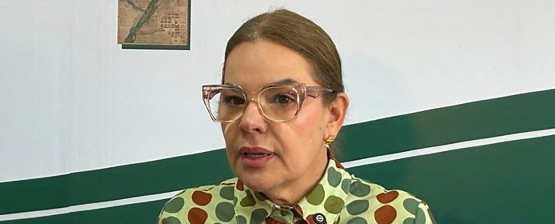 Paula Calil rebate deputada que questionou feminicídio e afirma: “A lei existe, sim”